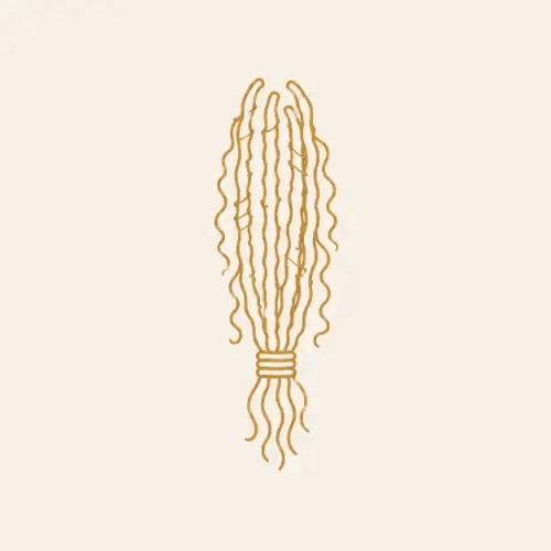 Ecco Crown Braiding Studio, Glen Burnie MD